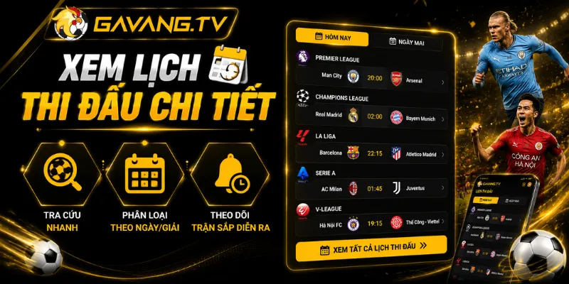 Xem video trực tiếp miễn phí